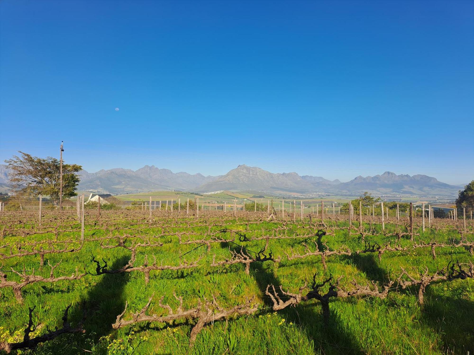 스텔렌보스 Domaine Coutelier 아파트 객실 사진